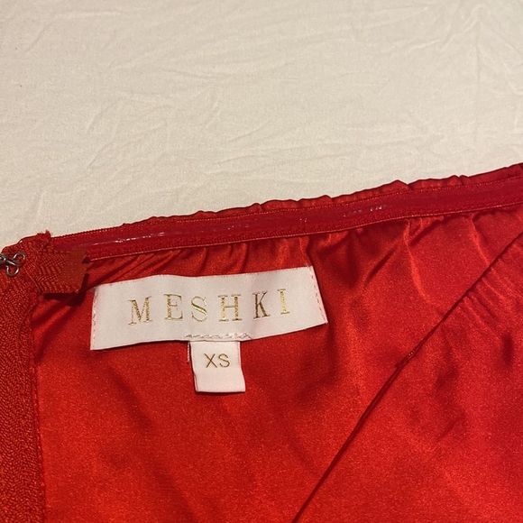 MESHKI Tie Tube Top - Picture 3 of 6